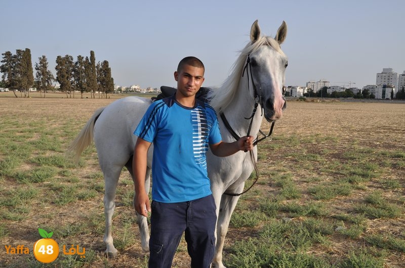 kheil sebaq (31).JPG